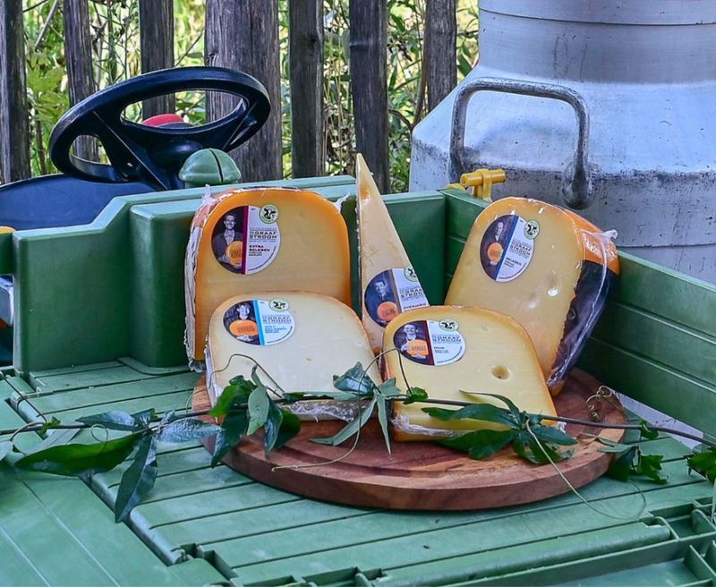 Startpakket 5 Oudsten